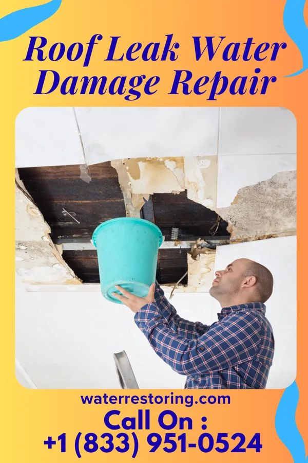 Roof Leak Water Damage Repair in Southwest Ranches, FL
